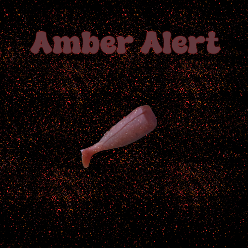 Amber Alert